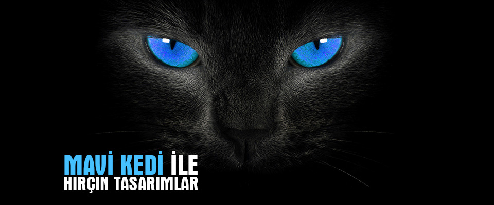 Mersin Web Tasarım: Dinamik Reklam Ajansı | Mavi Kedi Reklam