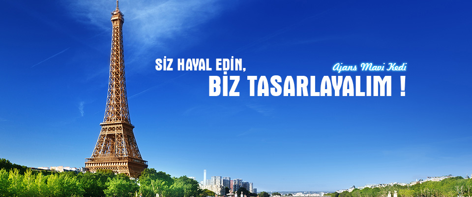 Mersin Web Tasarım: Dinamik Reklam Ajansı | Mavi Kedi Reklam